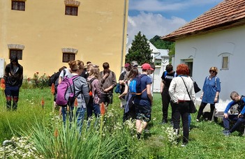 Iskolai kirándulás - Szentendre