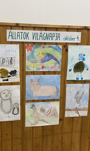 Állatok világnapja a Damiban!